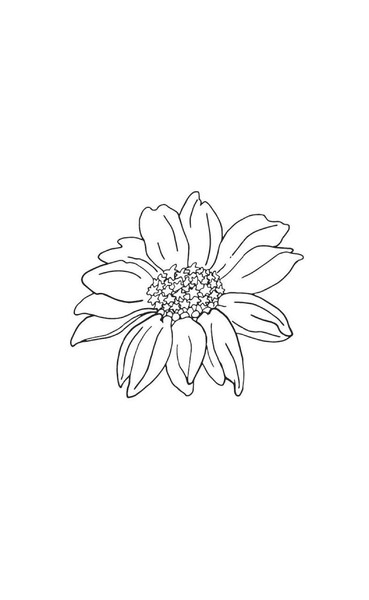 Concord Reformatory Cemetery Illustration Plot 209: Joseph Brazil